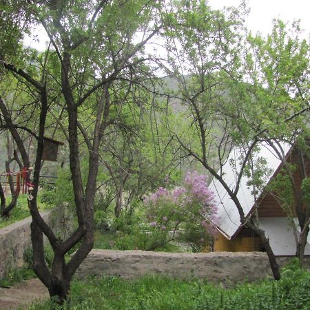Refugio Coyoacan Villa Guayacan  Exteriör bild