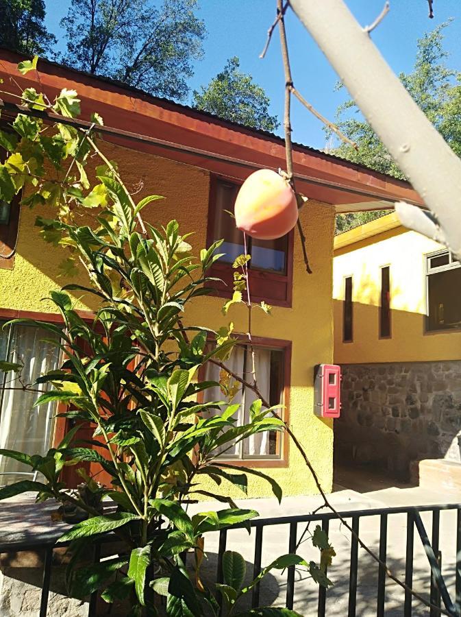 Refugio Coyoacan Villa Guayacan  Exteriör bild